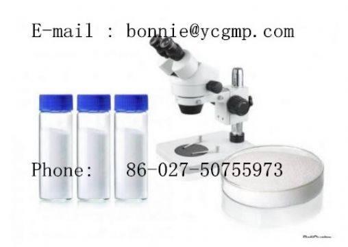 Hydroxyprogesterone Caproate